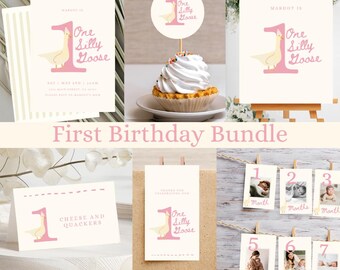Silly Goose 1st Birthday Party Printables: Pink Goose Decor (Digital Download)