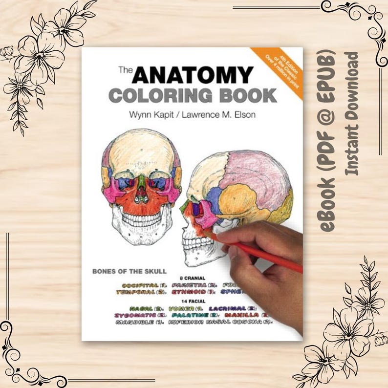 The Anatomy Coloring Book 4th Edition - Etsy