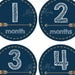 GIFT, Baby Girl Monthly 2nd Year Stickers, Month Stickers,baby ...
