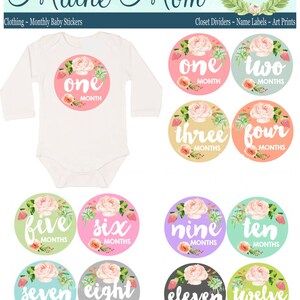 FREE GIFTS 12 colors, Baby Girl Month Stickers, Monthly Baby Stickers, Bodysuit Stickers, Floral, Flowers, Watercolor Roses Baby image 4