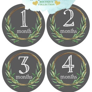FREE GIFTS! 16 Baby Month Stickers, Monthly Baby Stickers Milestone Bodysuit Sticker Botanical Leaves Gold, Gender Neutral, Baby Shower Gift