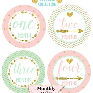 FREE GIFTS set of 16 Baby Girl Monthly Stickers, Baby Month Stickers Mint, Pink, Gold Heart Woodland Nursery Baby Boho Photo Prop image 1