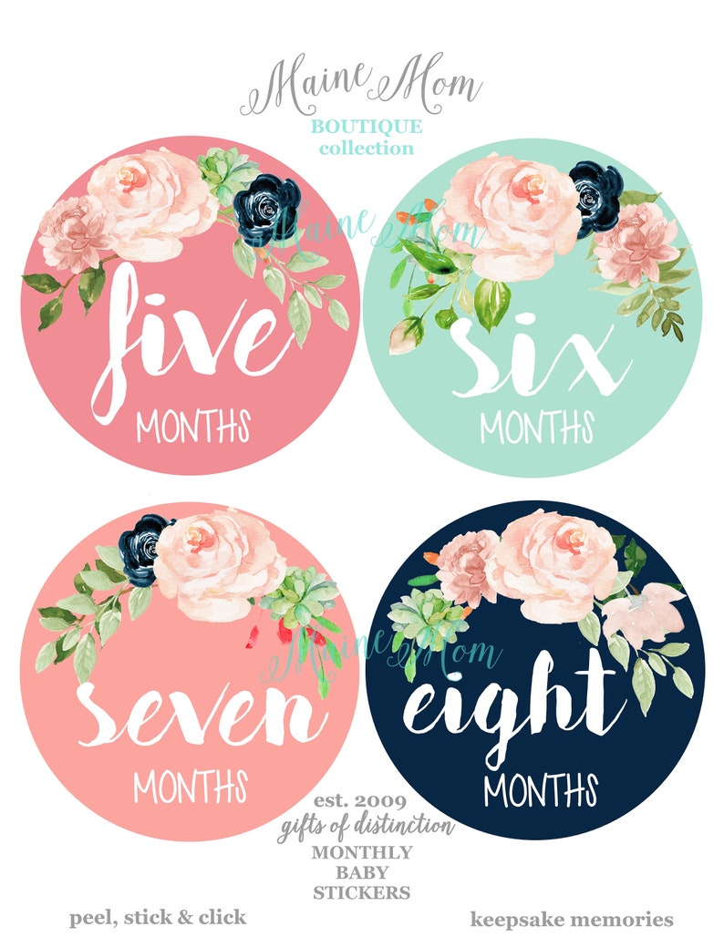 Baby Girl Month Stickers Floral Nursery Monthly Baby Stickers New Baby Watercolor Roses First Year Photo, Bodysuit Stickers FREE GIFTS