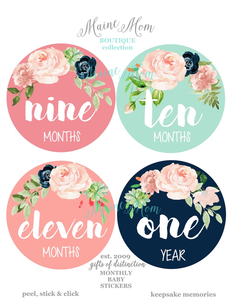 Baby Girl Month Stickers Floral Nursery Monthly Baby Stickers New Baby Watercolor Roses First Year Photo, Bodysuit Stickers FREE GIFTS