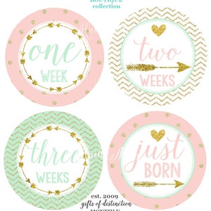 FREE GIFTS set of 16 Baby Girl Monthly Stickers, Baby Month Stickers Mint, Pink, Gold Heart Woodland Nursery Baby Boho Photo Prop image 5