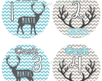 FREE GIFTS! PERSONALIZED, Woodland Monthly Baby Boy Stickers, Baby Boy Month Stickers, Deer, Antlers, , Blue Gray Chevron, Photo  Baby