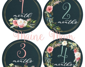 FREE GIFTS! Baby Girl Monthly Stickers, Baby Month Stickers, Bodysuit Stickers, Boho Floral Gold watercolor Roses photo prop Nursery Decor
