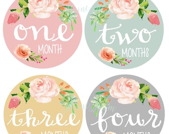 FREE GIFTS! Baby Girl Monthly Stickers, Month Baby Girl Stickers, Milestone Stickers, Floral, Flowers, Watercolor, Vintage Roses Shower Baby