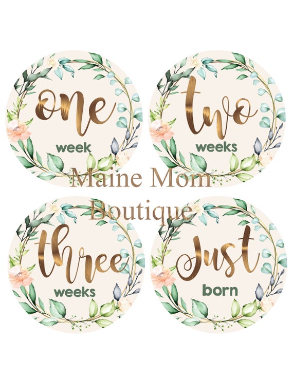 PRINTABLE Baby Girl Month Stickers, Milestone Month Stickers, Month Stickers  Girl, Floral DIY Printable 