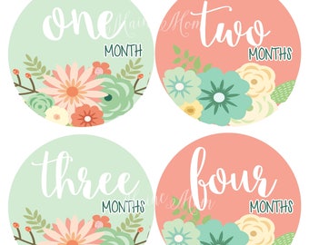FREE GIFTS! Baby Girl Month Stickers / Monthly Baby Stickers /  Bodysuit Stickers /  Flowers / Mint / Coral / Pink /  Nursery , Flowers