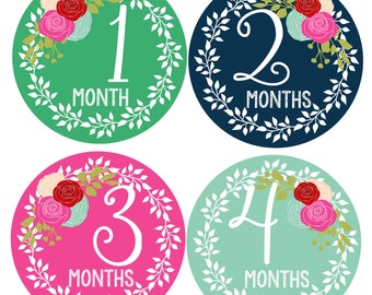 FREE GIFTS!   Baby Girl Month Stickers, Monthly Baby Stickers,  Floral Roses Newborn Bodysuit Stickers Navy, Green Hot Pink