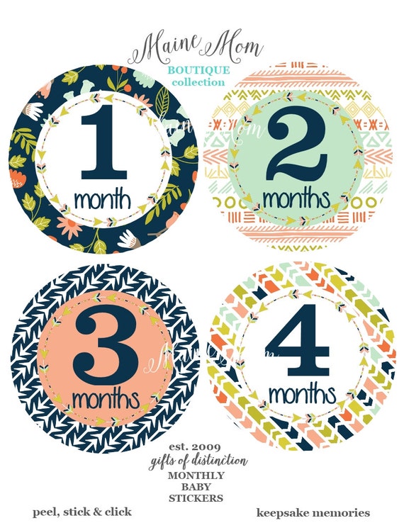464 Milestone Stickers Monthly Baby Stickers Tribal Baby Stickers Baby Girl Stickers FREE GIFT Arrow Stickers Baby Month Stickers
