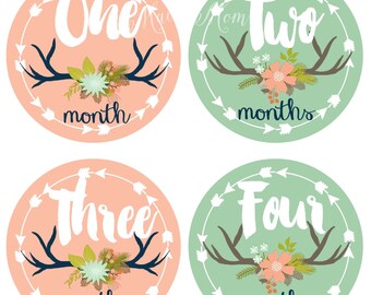 FREE GIFTS! Baby Girl Monthly Stickers, Baby Month Stickers, Bodysuit Stickers, Antler Floral Woodland Arrow Baby