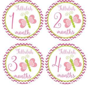 FREE GIFTS! Personalized Butterfly Monthly Baby Girl Stickers, Baby Month Stickers, Butterflies, Just Born Newborn  Milestone Bodysuit Baby