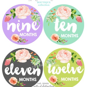 FREE GIFTS 12 colors, Baby Girl Month Stickers, Monthly Baby Stickers, Bodysuit Stickers, Floral, Flowers, Watercolor Roses Baby image 3