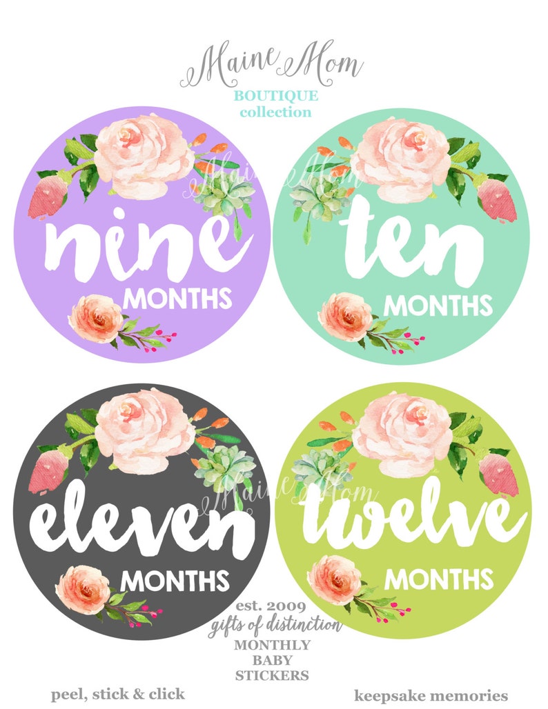 FREE GIFTS 12 colors, Baby Girl Month Stickers, Monthly Baby Stickers, Bodysuit Stickers, Floral, Flowers, Watercolor Roses Baby image 3