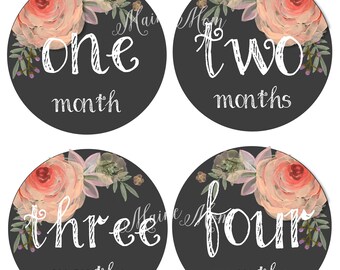 FREE GIFTS! Baby Girl Monthly Stickers, Month Baby Stickers, Milestone Stickers, Watercolor Roses, Floral Bodysuit Nursery  Newborn Baby