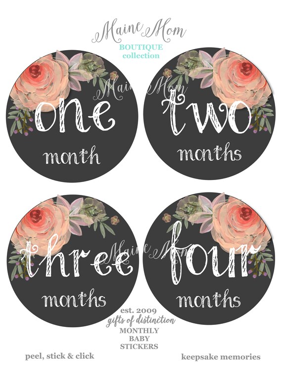 Baby Girl Month Stickers Floral Nursery Monthly Baby Stickers New Baby Watercolor Roses First Year Photo, Bodysuit Stickers FREE GIFTS