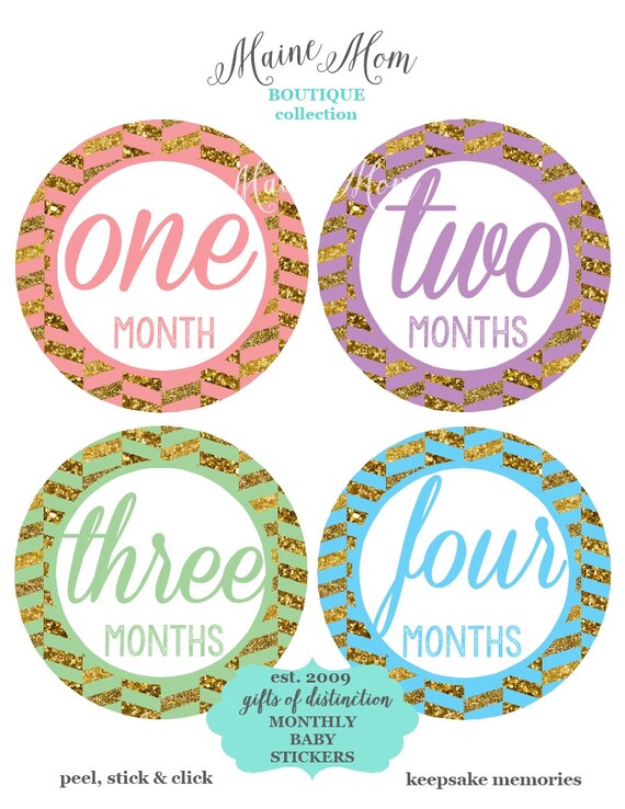 FREE GIFTS Baby Girl Month Stickers, Monthly Baby Stickers
