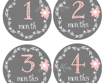 FREE GIFTS! Baby Girl Month Stickers, Monthly Baby Girl Stickers, Bodysuit Stickers, Gray, Grey, Pink, Flower, Just Born Newborn, Arrow