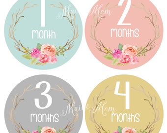 FREE GIFTS! Woodland Baby Girl Month Stickers, Monthly Baby Girl Stickers,  Bodysuit Stickers, Watercolor Roses, Woodland Nursery  Baby