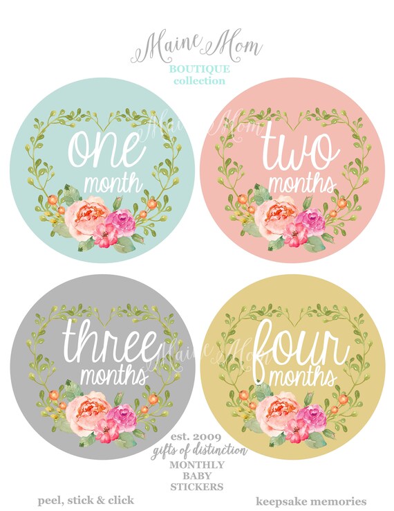 FREE GIFTS Baby Girl Month Stickers, Monthly Baby Stickers