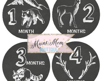 FREE GIFTS! Woodland Monthly Baby Stickers  /  Baby Month Stickers / Mountains  Rustic Antlers Mountain  Bear  Fox Deer Nursery Decor