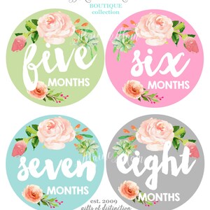 FREE GIFTS 12 colors, Baby Girl Month Stickers, Monthly Baby Stickers, Bodysuit Stickers, Floral, Flowers, Watercolor Roses Baby image 2