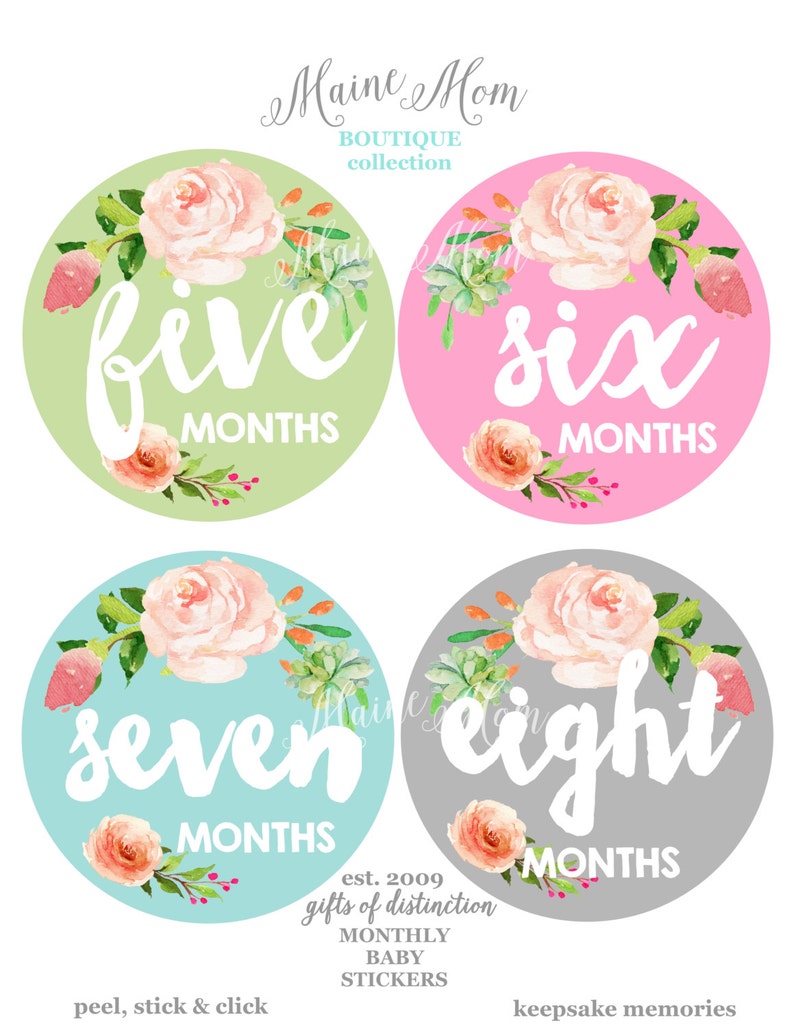 FREE GIFTS 12 colors, Baby Girl Month Stickers, Monthly Baby Stickers, Bodysuit Stickers, Floral, Flowers, Watercolor Roses Baby image 2