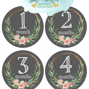 FREE GIFTS! 16 Baby Girl Monthly Stickers, Baby Month Stickers, Milestone Bodysuit Sticker, Watercolor Floral,  Photo Prop Shower Gift