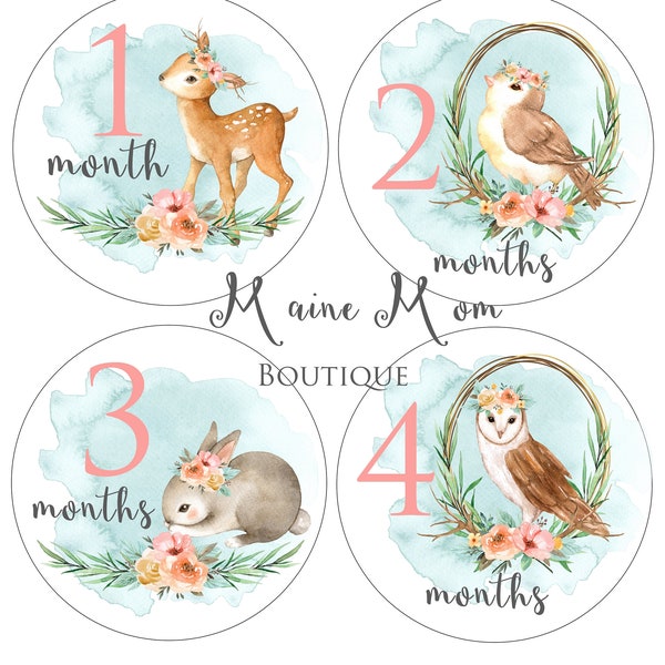 FREE GIFTS! Woodland Boho Baby Girl Monthly Stickers, Baby Month Stickers, Bodysuit Stickers, Animals Nursery Decor, Bunny, Deer, Owl, Bird