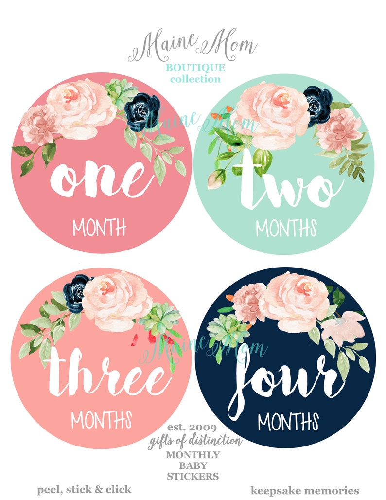 Baby Girl Month Stickers Floral Nursery Monthly Baby Stickers New Baby Watercolor Roses First Year Photo, Bodysuit Stickers FREE GIFTS