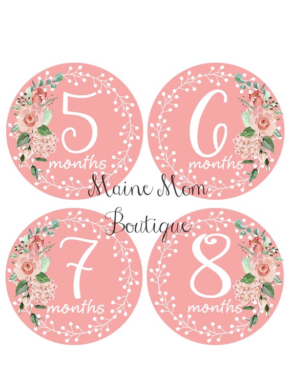 Baby Monthly Milestone Stickers - First Year Set of Baby Girl Month  Stickers for Photo Keepsakes - Shower Gift - Set of 20
