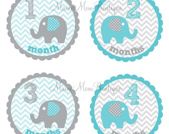 Baby Monthly Milestone Growth Stickers Grey and Blue Elephant - Etsy