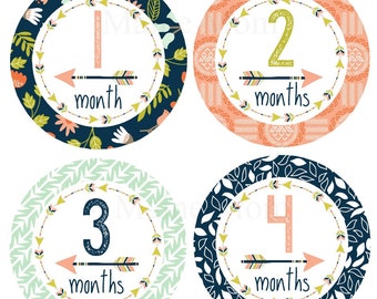 FREE GIFTS! Baby Girl Monthly Stickers, Month Baby Stickers, Bodysuit Month Stickers,  Floral Woodland Arrow Nursery  Baby