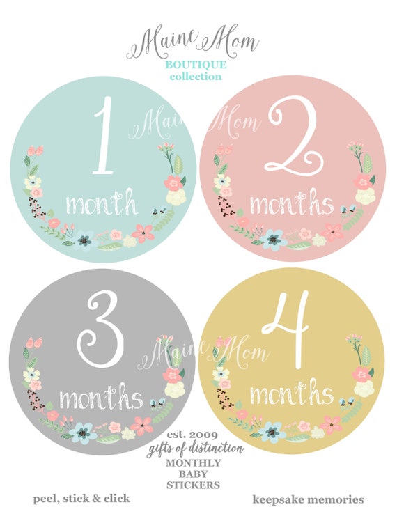Baby Girl Month Stickers Floral Nursery Monthly Baby Stickers New Baby Watercolor Roses First Year Photo, Bodysuit Stickers FREE GIFTS