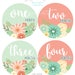 see more listings in the Girl Monthly Stickers section