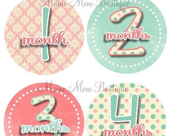 FREE GIFTS! Baby Girl Monthly Stickers, Baby Month Sticker,  Baby Shower  Milestone Stickers Baby Shower Baby