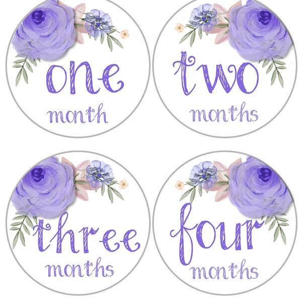 FREE GIFTS! Baby Girl Monthly Stickers, Month Baby Stickers, Milestone Stickers, Lavender Watercolor Roses, Nursery  Newborn Baby
