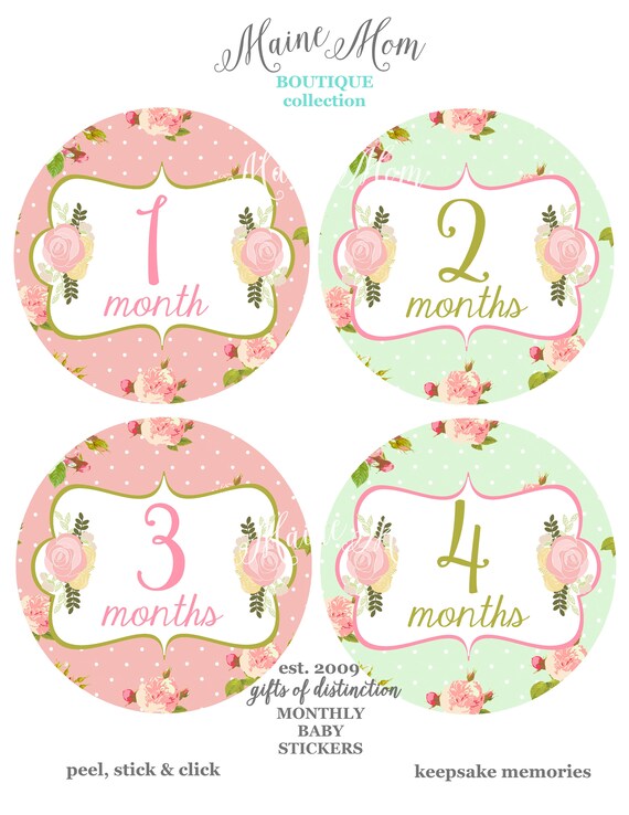 FREE GIFTS Baby Girl Month Stickers, Monthly Baby Stickers, Floral