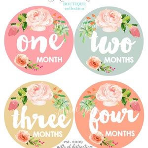 FREE GIFTS 12 colors, Baby Girl Month Stickers, Monthly Baby Stickers, Bodysuit Stickers, Floral, Flowers, Watercolor Roses Baby image 1