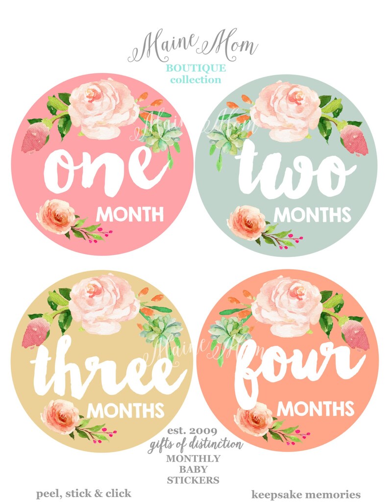 FREE GIFTS 12 colors, Baby Girl Month Stickers, Monthly Baby Stickers, Bodysuit Stickers, Floral, Flowers, Watercolor Roses Baby image 1