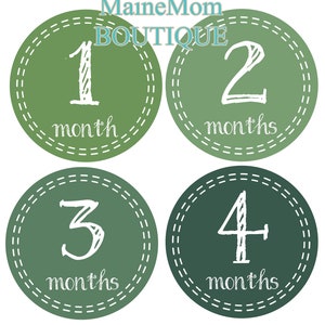 FREE GIFTS! Baby Boy Month Stickers, Baby Monthly Stickers, Milestone Stickers, Baby Boy Nursery Decor, Green, Photo