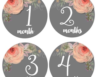 FREE GIFTS! Baby Girl Monthly Stickers, Month Baby Stickers, Milestone Stickers, Elegant Watercolor Floral Bodysuit  Nursery  Baby