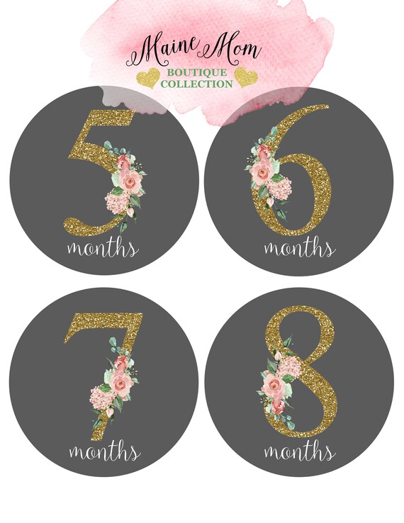 FREE GIFTS Baby Girl Month Stickers, Monthly Baby Stickers, Floral,  Flowers, Watercolor Gold Baby Newborn Photo Prop Made in USA 