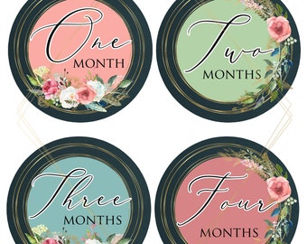 FREE GIFTS! Baby Girl Monthly Stickers, Baby Month Stickers, Bodysuit Stickers, Boho Floral Gold watercolor Roses photo prop Nursery Decor