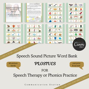Speech Sound Plosive Picture Words for Speech and Language Therapy| Speech Articulation Cards| Printable Flash Cards Children|Stop Sounds
