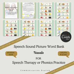 Speech Sound Nasals Picture Words for Speech and Language Therapy| Speech Articulation Cards| Printable Flash Cards Children|Nasal Sounds