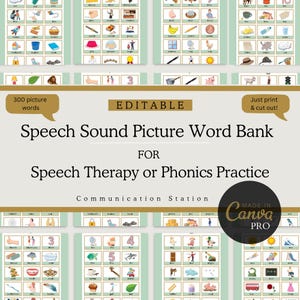 Speech Sound Picture Word Bank for Speech and Language Therapy| Speech Articulation Cards| Printable Flash Cards Children|Canva Templates