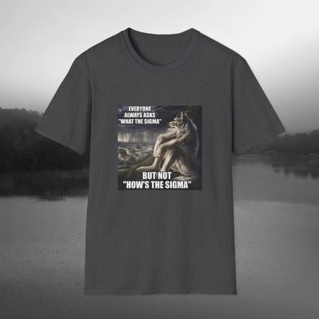 [ STIGMA ]★23 TAG OVERSIZED T-SHIRTS What the Sigma T-shirt, Sigma Male Tee Shirt, Alpha Wolf